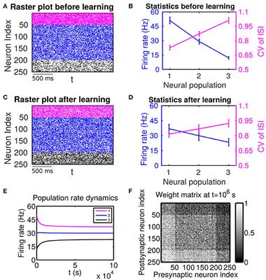 Effects of Firing Variability on Network Structures with Spike-Timing-Dependent Plasticity